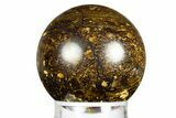 Golden Amphibolite Sphere - Western Australia #309139-1